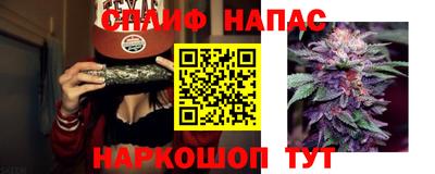 Альфа ПВП Пенза