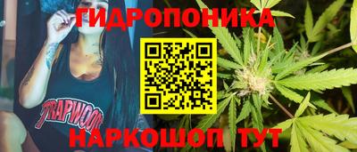 Альфа ПВП Пенза