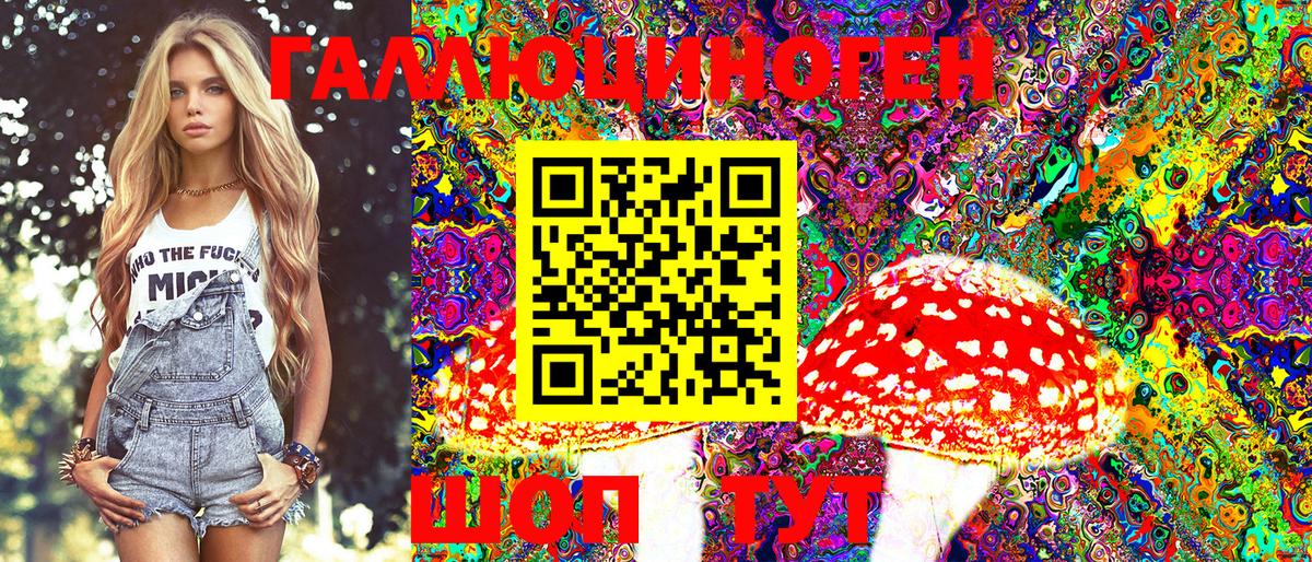 Тосно  Галлюциногенные грибы Magic Shrooms  купить наркоту  Вход с VPN 