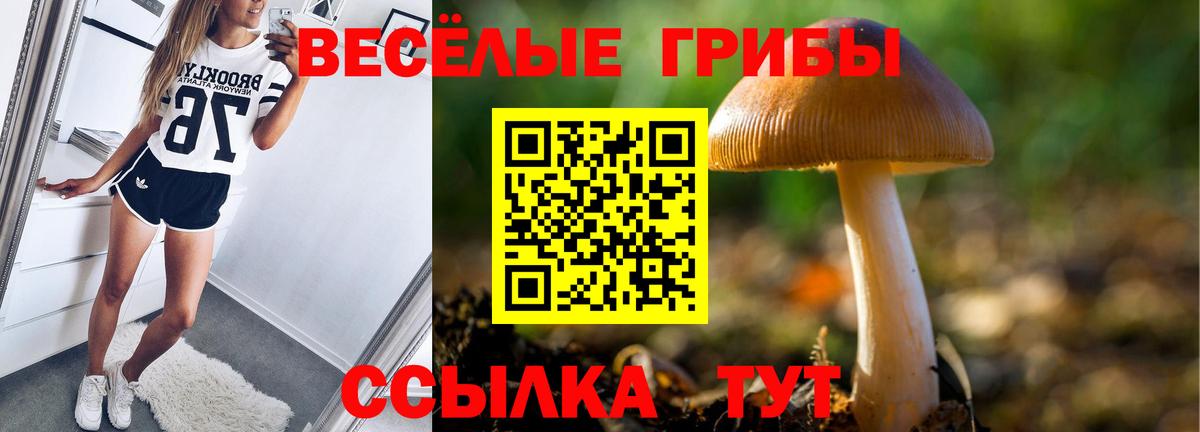 Псилоцибиновые грибы GOLDEN TEACHER Тосно